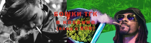 крисы Лагань